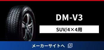 DM-V3